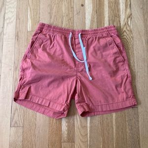J crew pink dock shorts